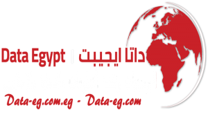 Data Egypt Company Logo