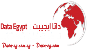 Data Egypt Company Logo